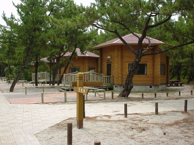 くにの松原キャンプ場1